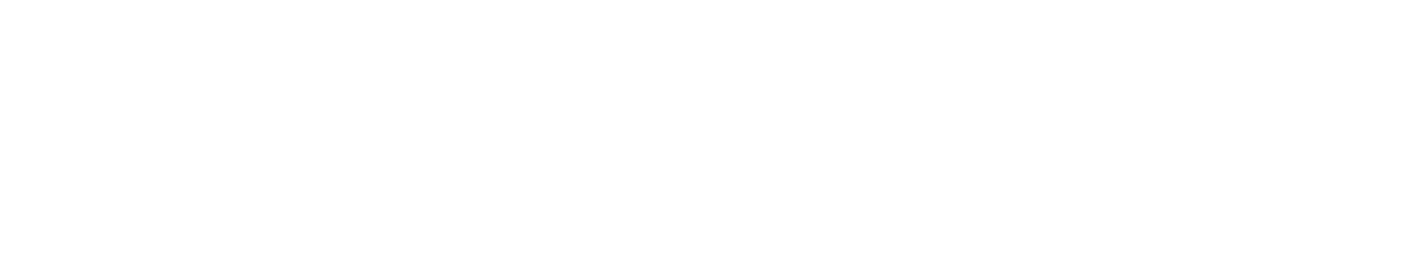 My webiste logo